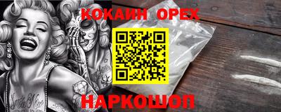 гашик Кунгур